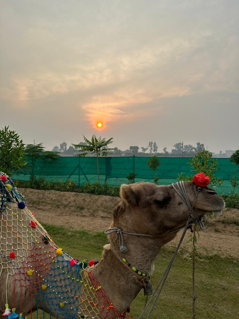 The Ashoka Farms & Resort